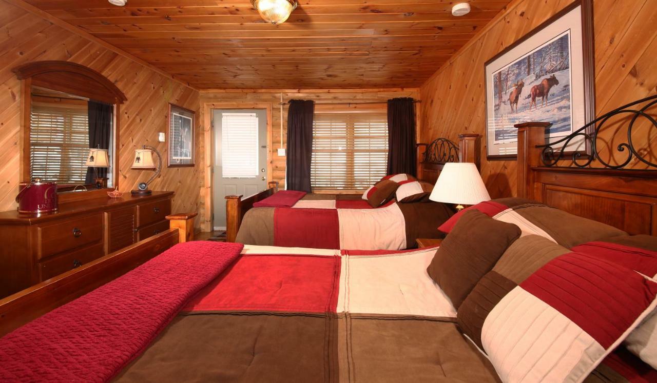 Tuckamore Lodge Main Brook Ngoại thất bức ảnh